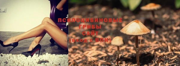 PSILOCYBIN Володарск
