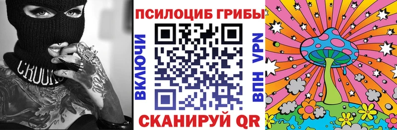 shop официальный сайт  закладки  Волоколамск  Псилоцибиновые грибы Cubensis 